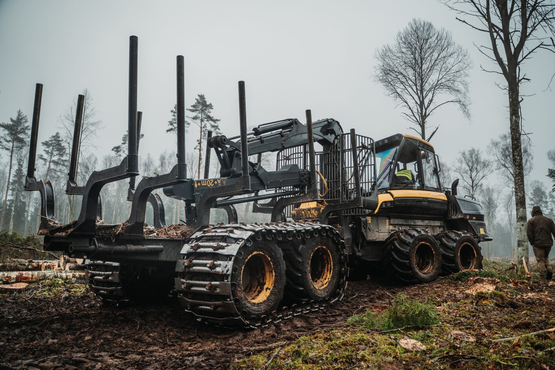 forestry